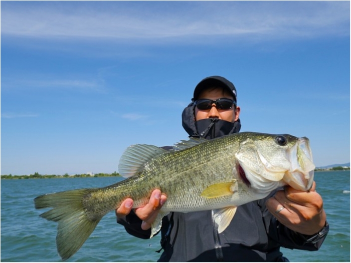 truth  ブログ写真 2018/05/22