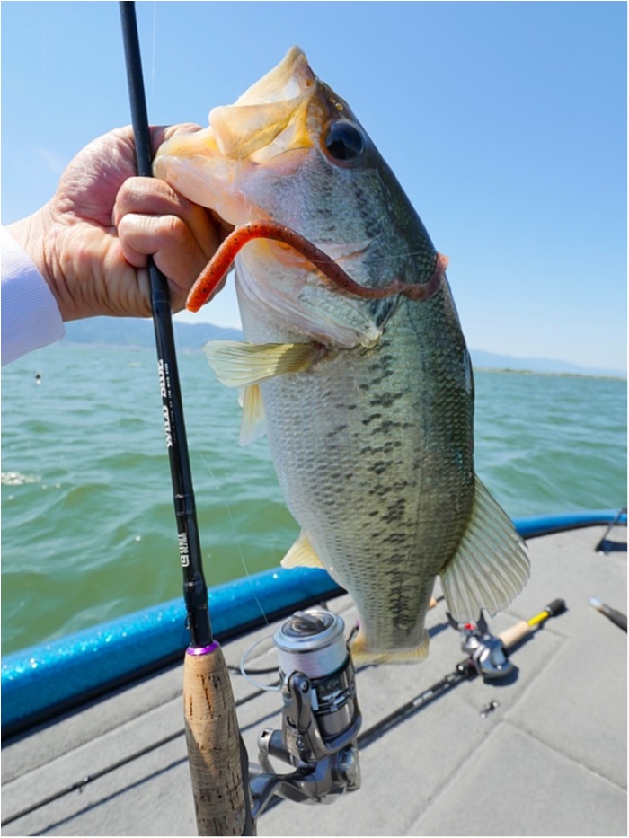 truth  ブログ写真 2018/05/22