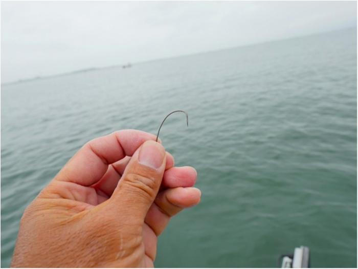 truth  ブログ写真 2018/05/23