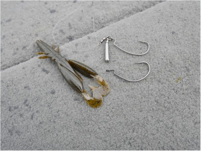 truth  ブログ写真 2018/05/23