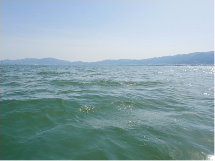 truth ブログ写真 2018/05/25