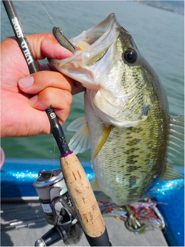 truth ブログ写真 2018/05/25