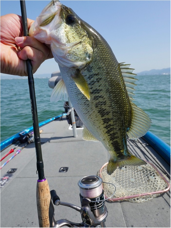 truth ブログ写真 2018/05/25