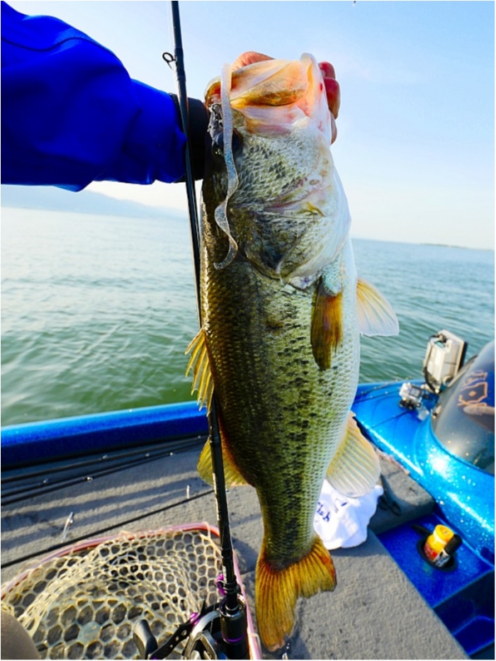 truth ブログ写真 2018/05/25