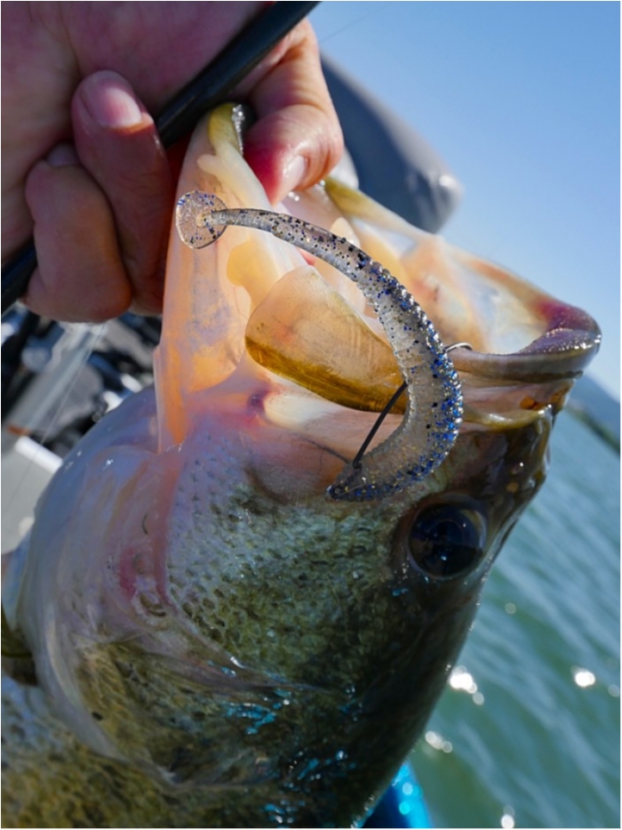 truth ブログ写真 2018/05/25