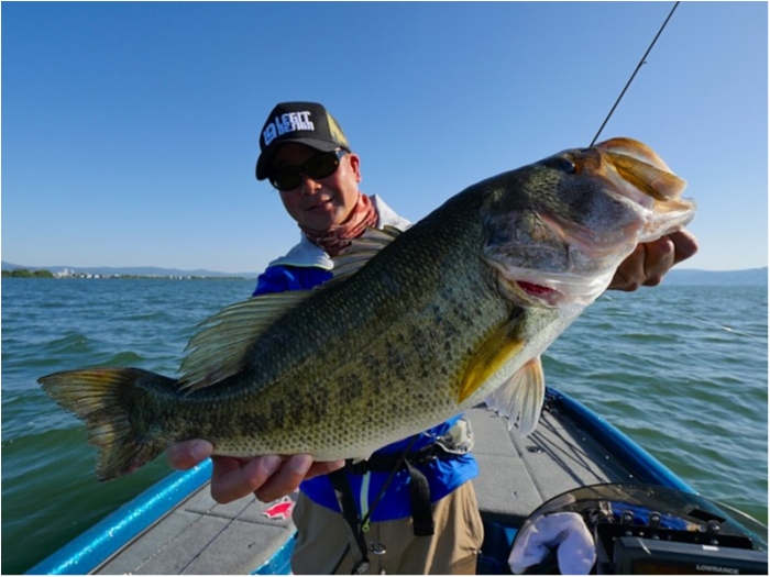 truth ブログ写真 2018/05/25