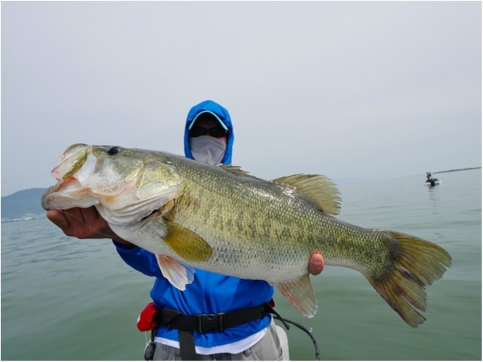 truth ブログ写真 2018/05/27