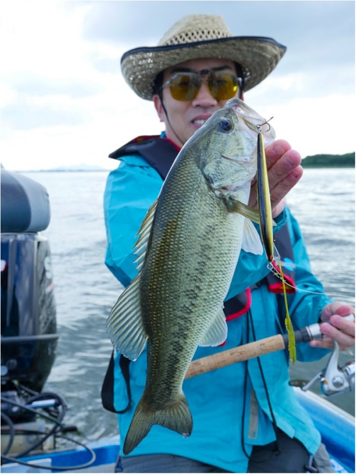 truth ブログ写真 2018/06/01