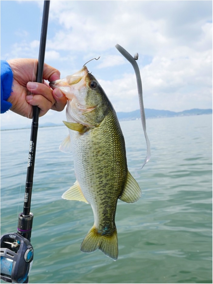 truth ブログ写真 2018/06/01