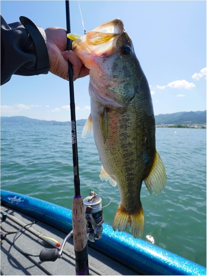 truth ブログ写真 2018/06/01