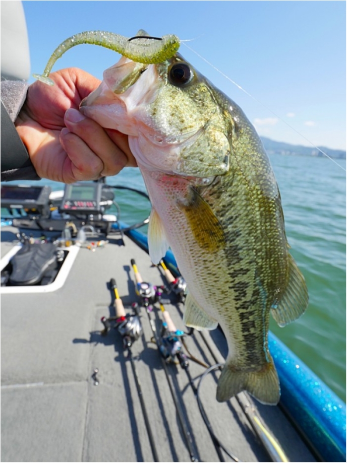 truth ブログ写真 2018/06/01