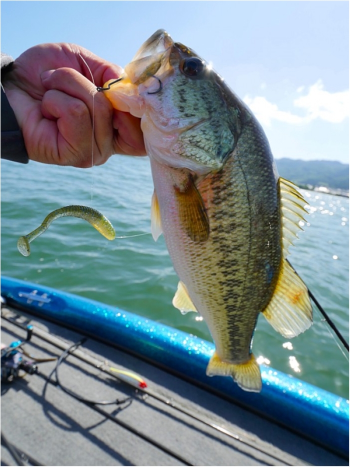 truth ブログ写真 2018/06/01