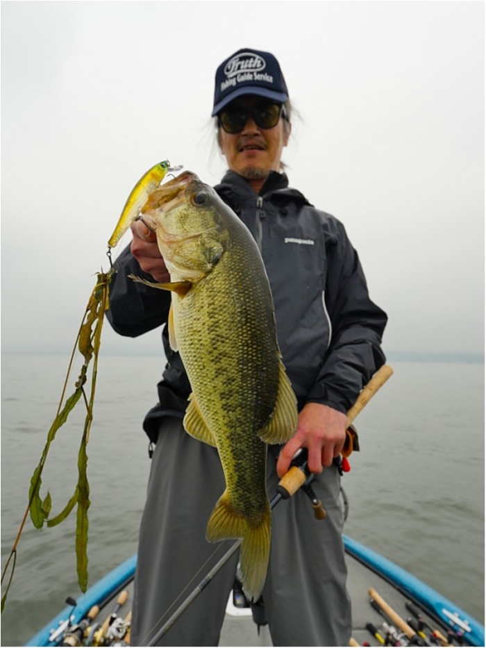 truth ブログ写真 2018/06/01