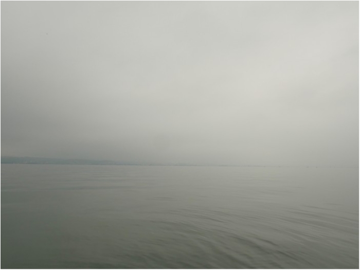 truth ブログ写真 2018/06/01