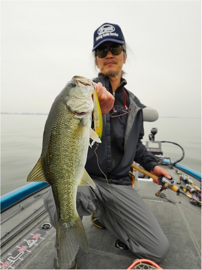 truth ブログ写真 2018/06/01