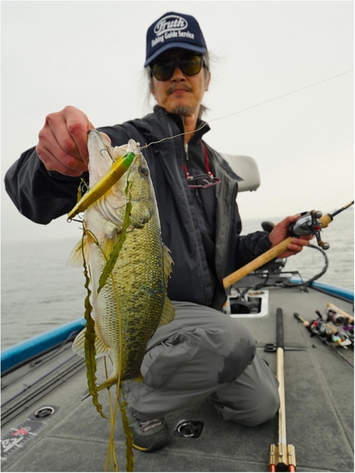 truth ブログ写真 2018/06/01