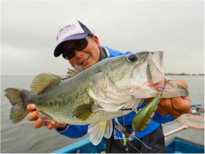 truth ブログ写真 2018/06/01