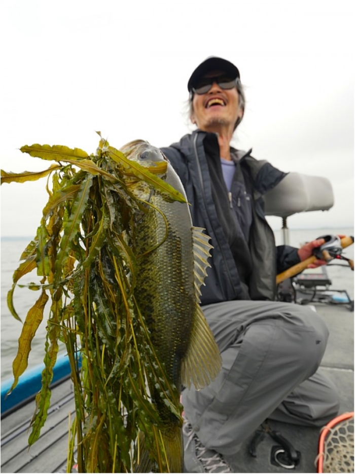 truth ブログ写真 2018/06/01