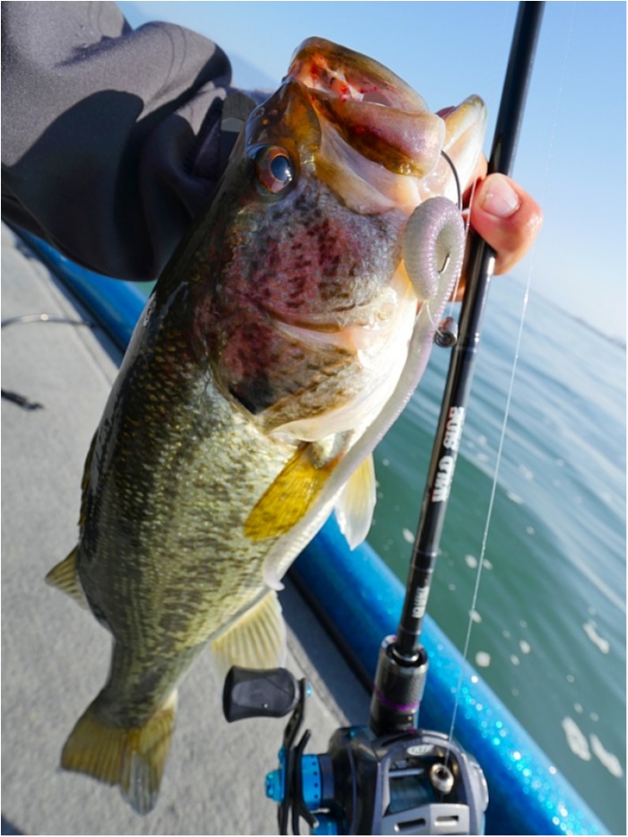 truth ブログ写真 2018/06/02