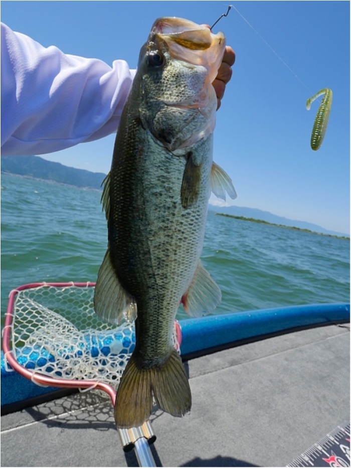 truth ブログ写真 2018/06/02