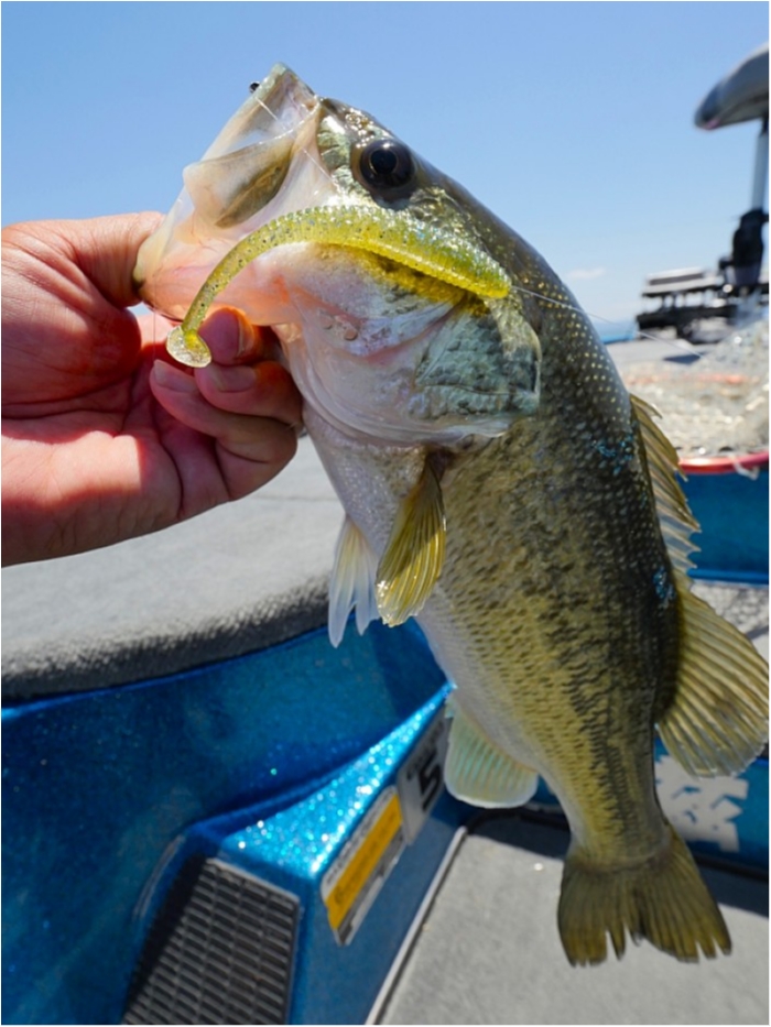 truth ブログ写真 2018/06/02