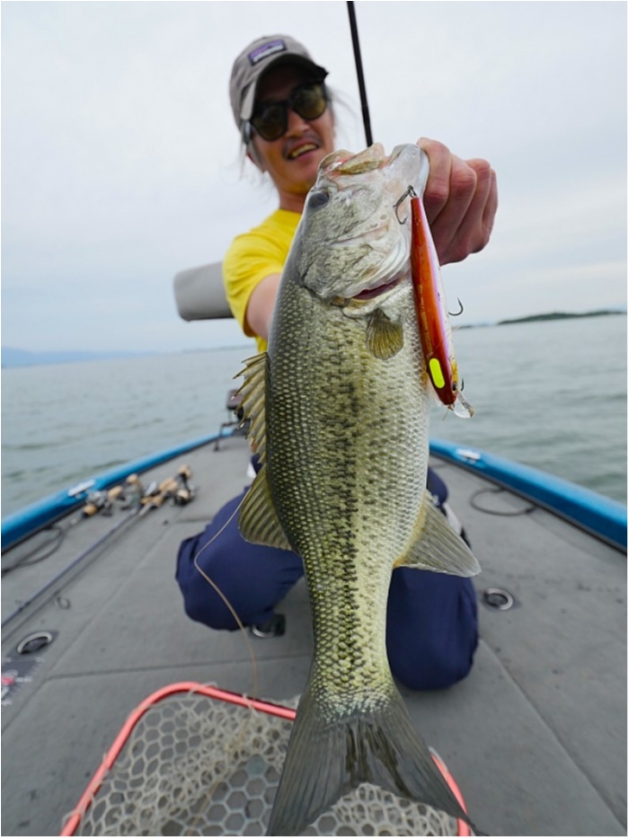 truth ブログ写真 2018/06/06