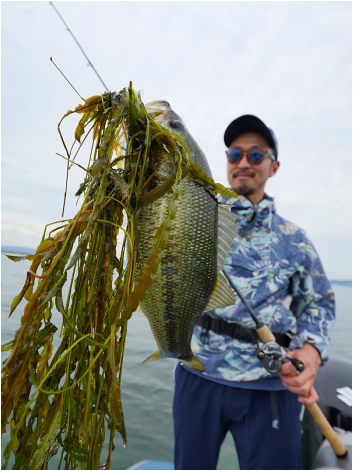 truth ブログ写真 2018/06/06