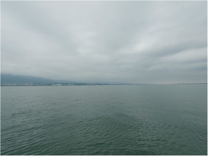 truth  ブログ写真 2018/06/08