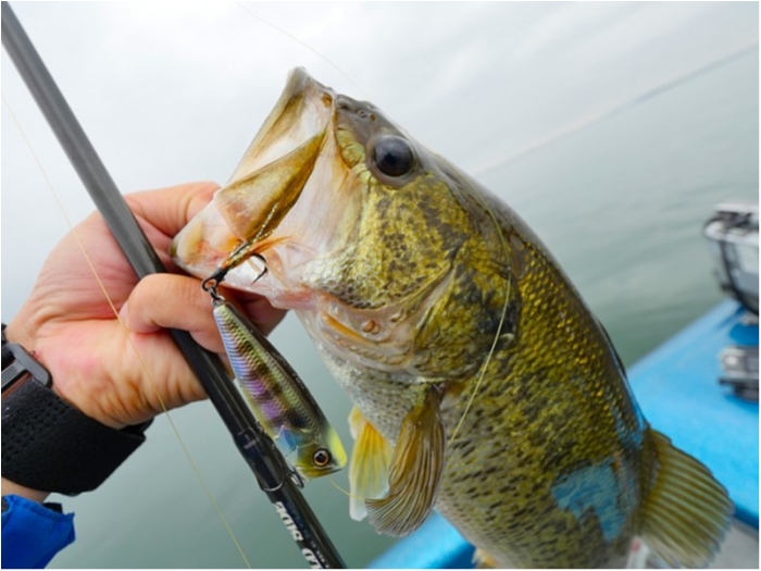 truth  ブログ写真 2018/06/08