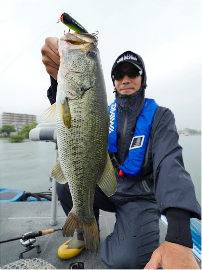 truth  ブログ写真 2018/06/08