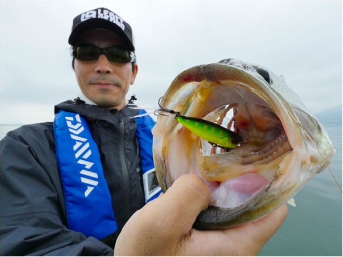 truth  ブログ写真 2018/06/08