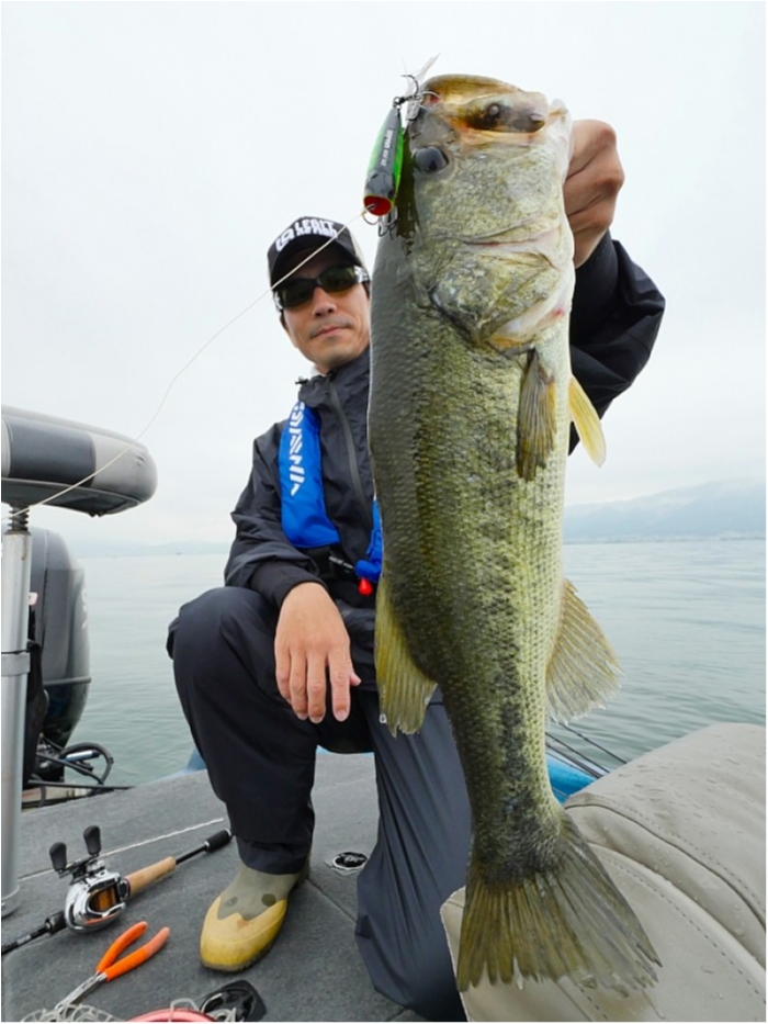 truth  ブログ写真 2018/06/08