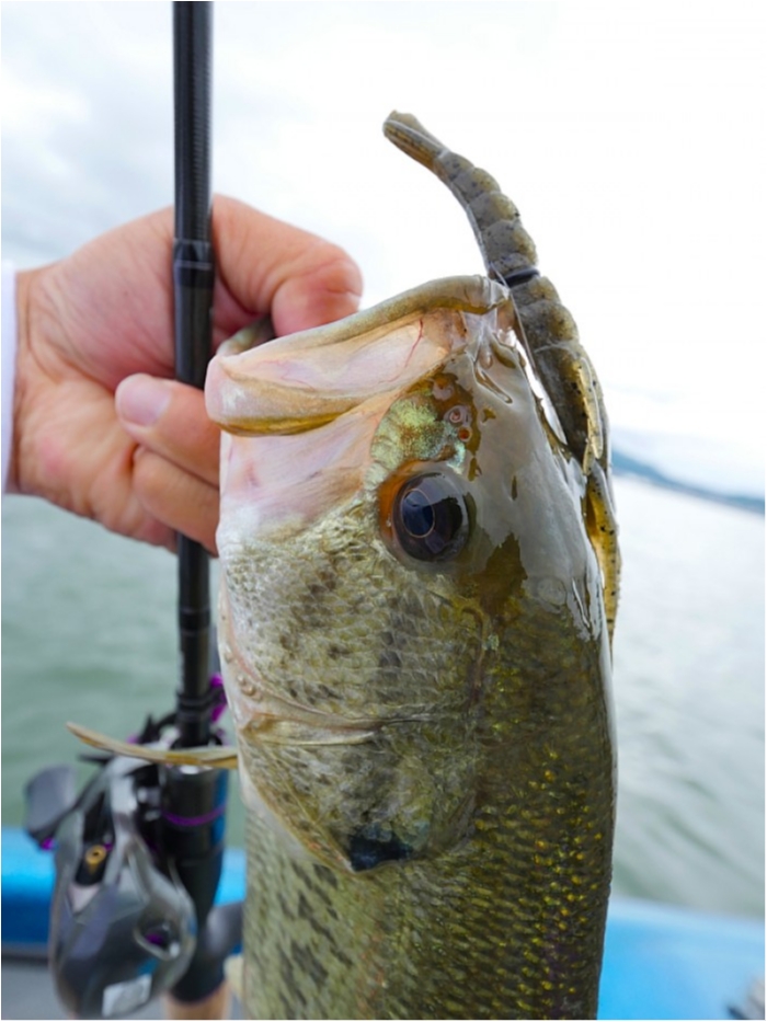 truth  ブログ写真 2018/06/11