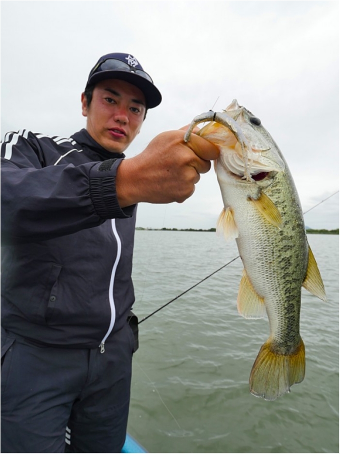 truth  ブログ写真 2018/06/11