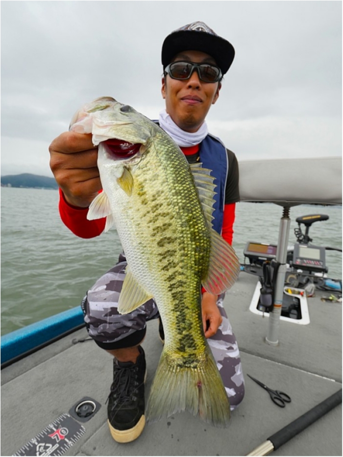 truth  ブログ写真 2018/06/11