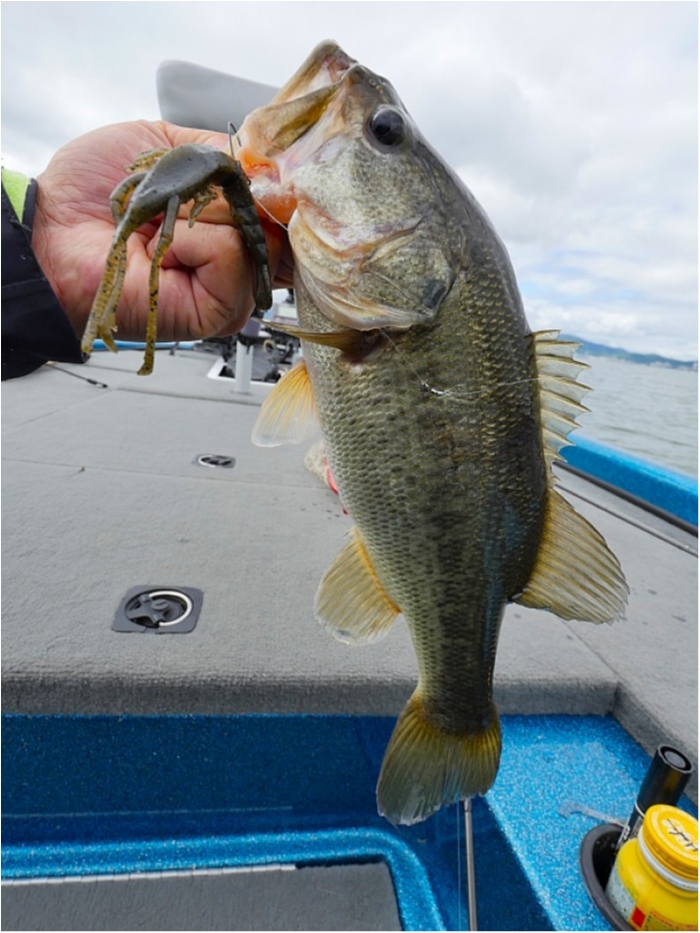 truth  ブログ写真 2018/06/13