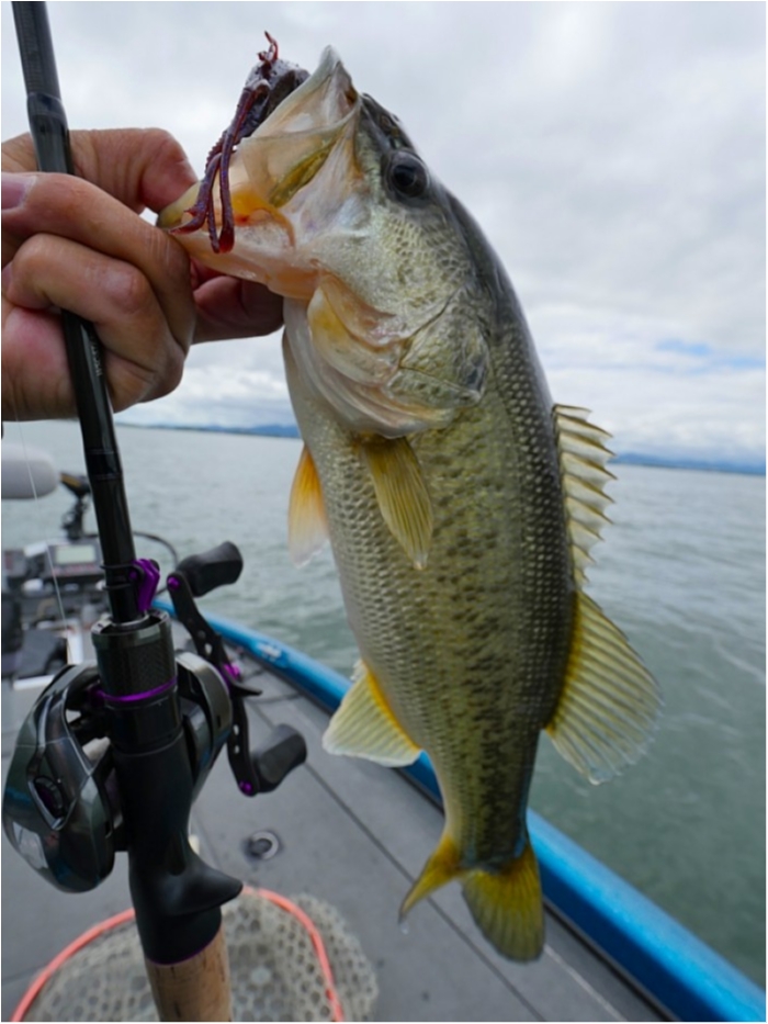 truth  ブログ写真 2018/06/13