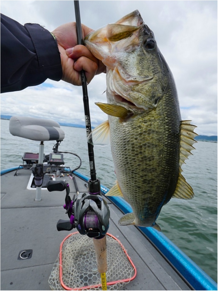 truth  ブログ写真 2018/06/13