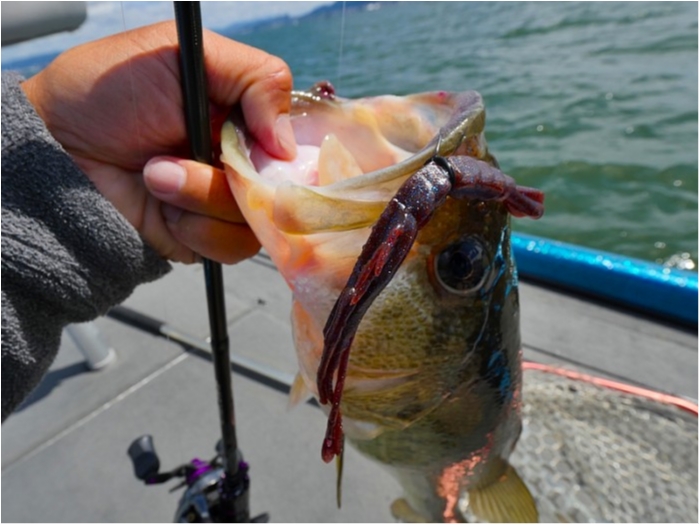 truth  ブログ写真 2018/06/13