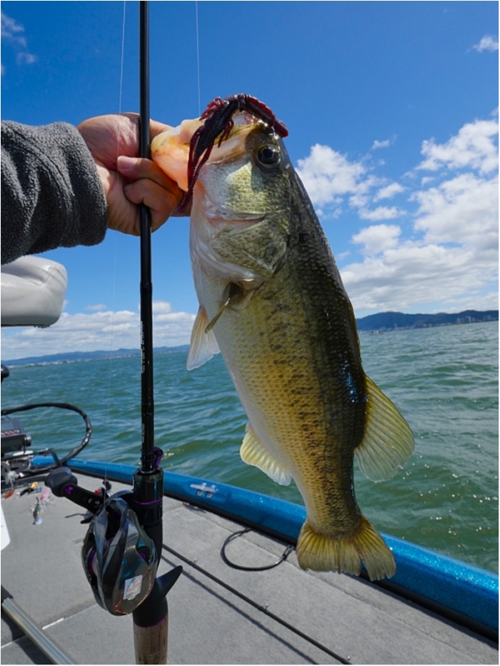 truth  ブログ写真 2018/06/13