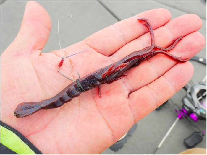 truth  ブログ写真 2018/06/13