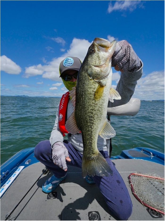 truth  ブログ写真 2018/06/13