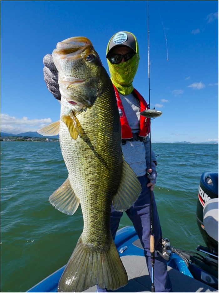 truth  ブログ写真 2018/06/13