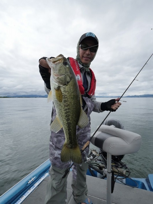 truth  ブログ写真 2018/06/13