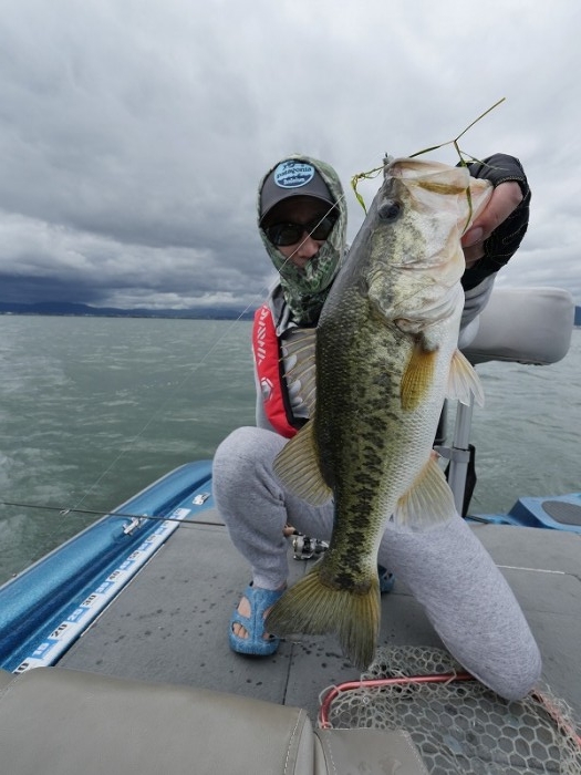 truth  ブログ写真 2018/06/13