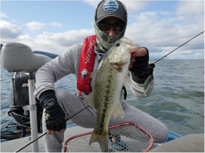 truth  ブログ写真 2018/06/13