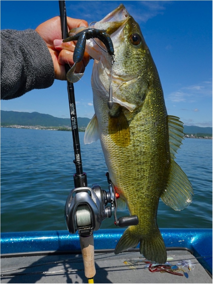 truth  ブログ写真 2018/06/14