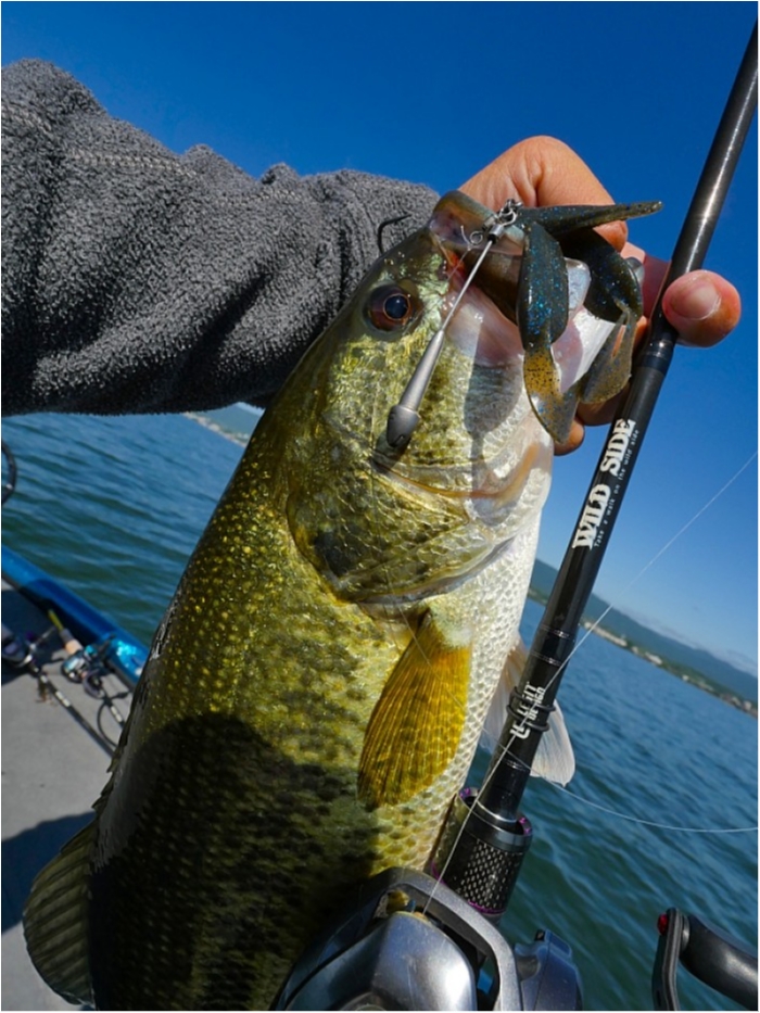 truth  ブログ写真 2018/06/14