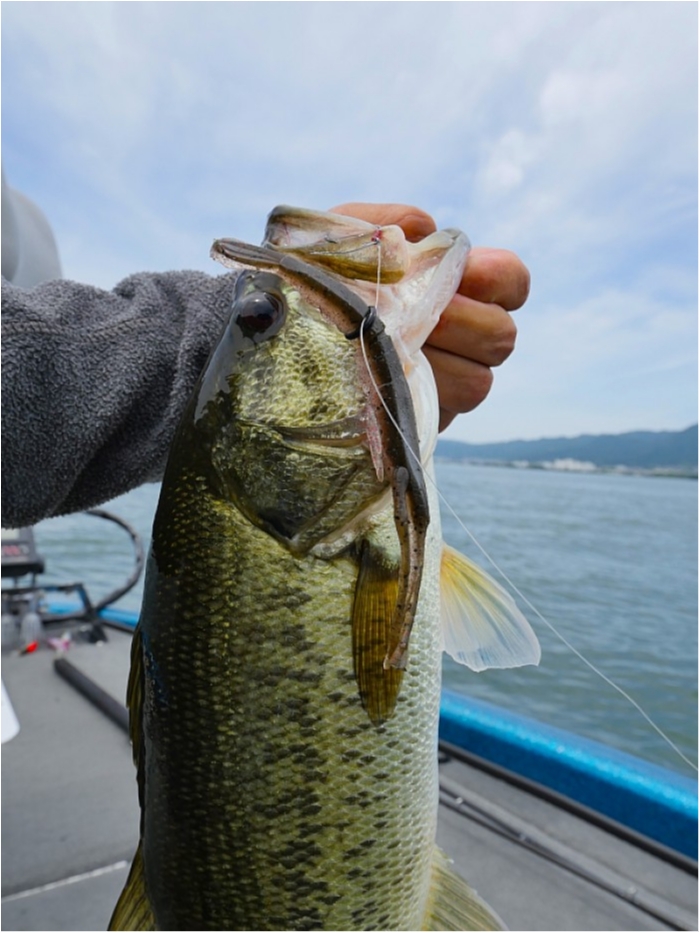 truth  ブログ写真 2018/06/14