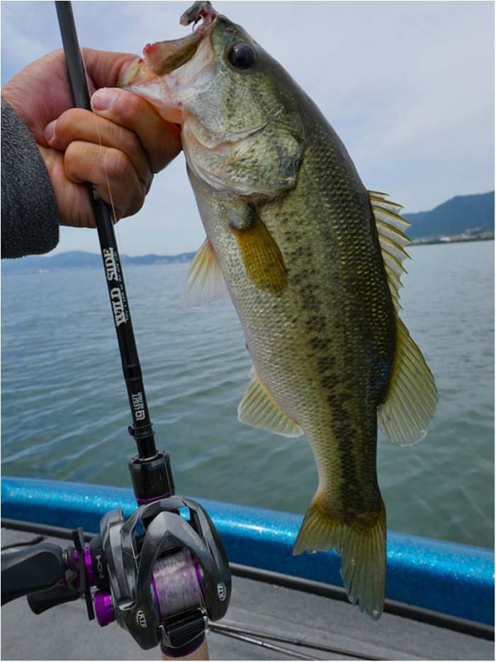 truth  ブログ写真 2018/06/14